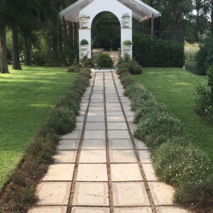 Vasco Stone Home Page