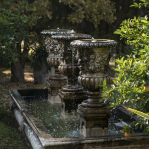 Vasco Stone Home Page