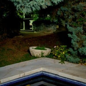 Vasco Stone Home Page