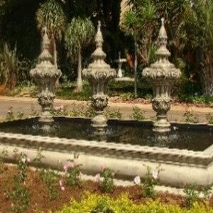 Vasco Stone Home Page